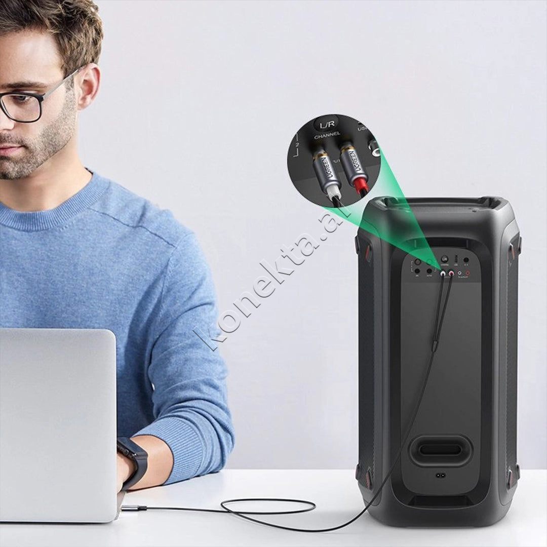 Kabell Audio USB-C Ne 2RCA (M-M) 1.5m Ugreen