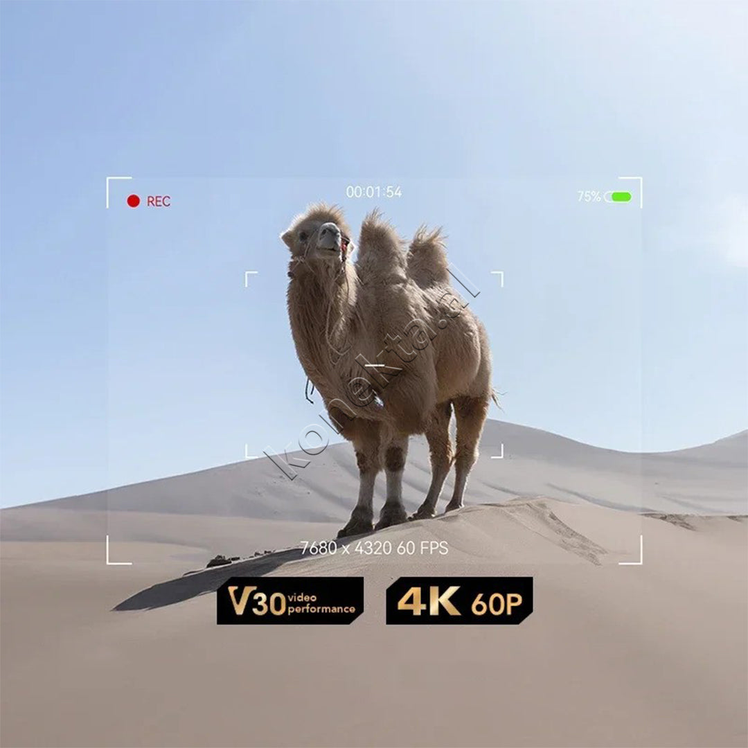 Karte Memorie SDXC Silver 128GB Lexar