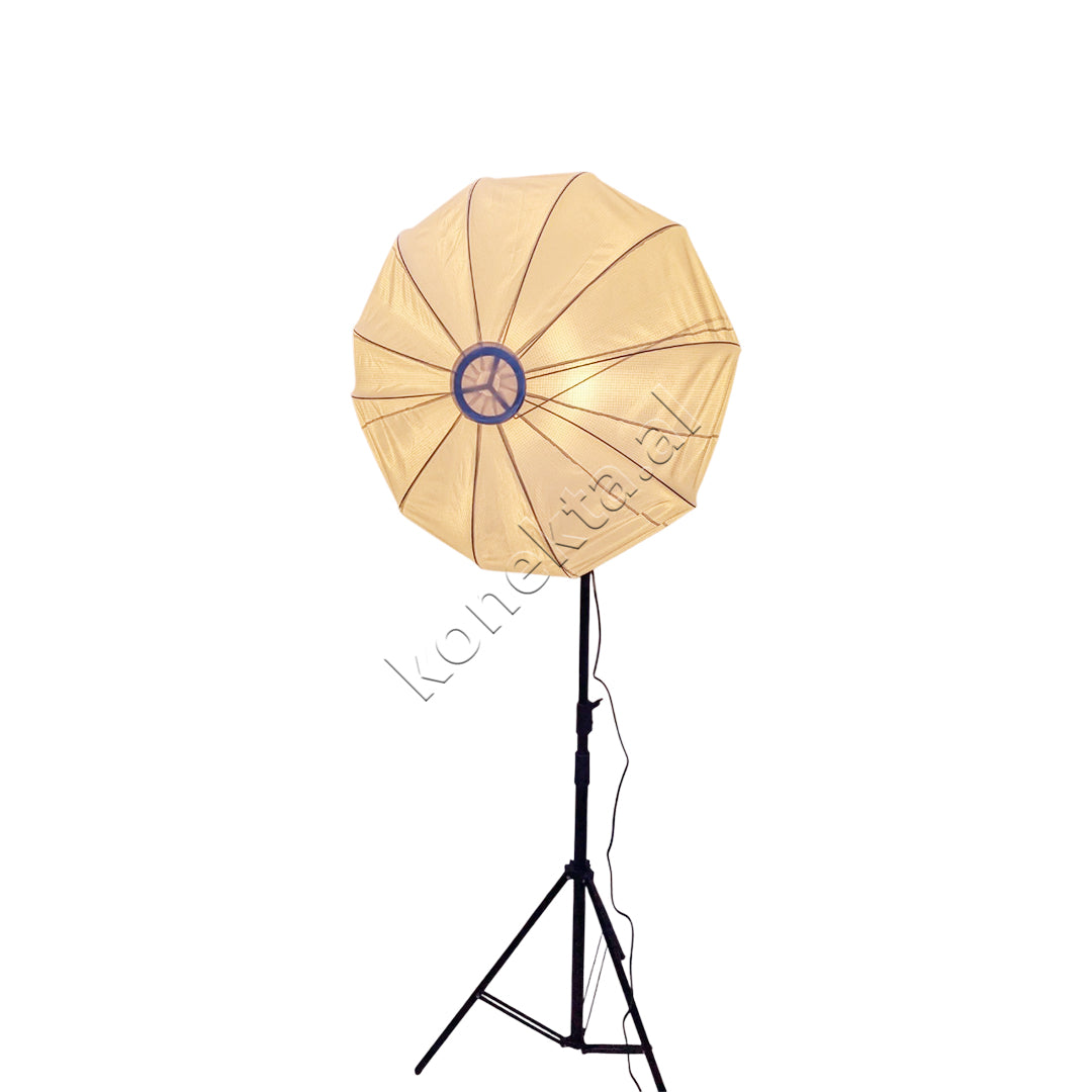 Drite LED Profesionale 100W Plokama