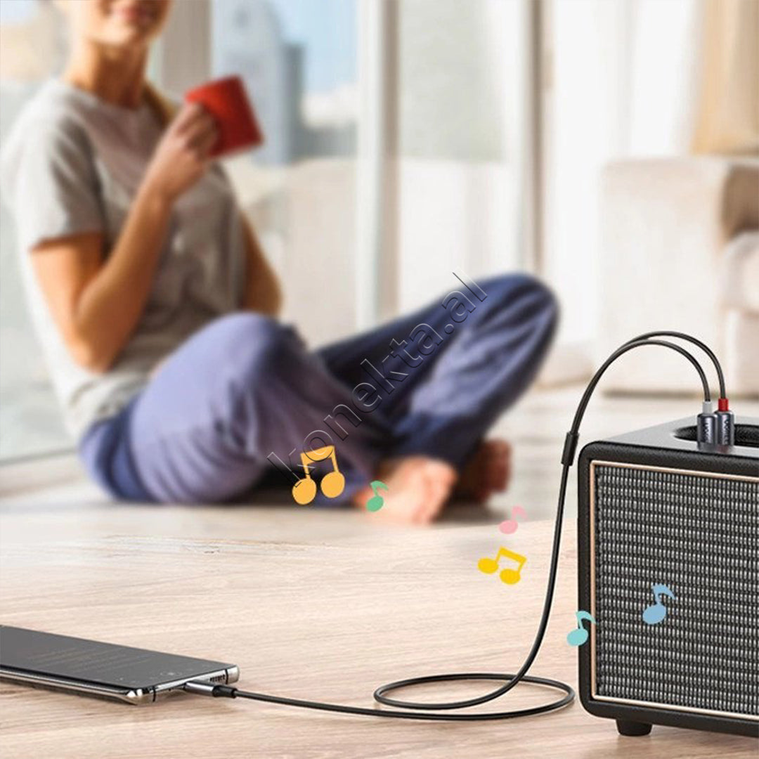 Kabell Audio USB-C Ne 2RCA (M-M) 1.5m Ugreen