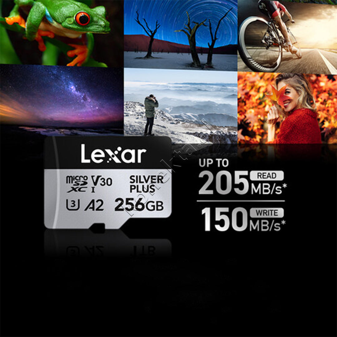 Karte Memorie MicroSDXC Me Adaptor Silver Plus 256GB Lexar
