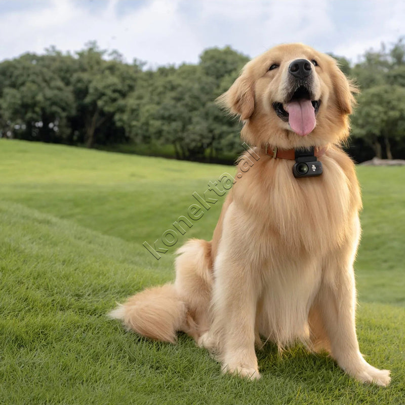 Kamera Sportive DJI Osmo Nano