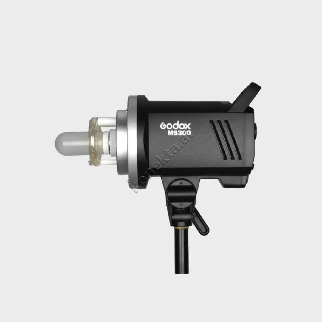 Blic Flash LED Profesional Godox MS300-V
