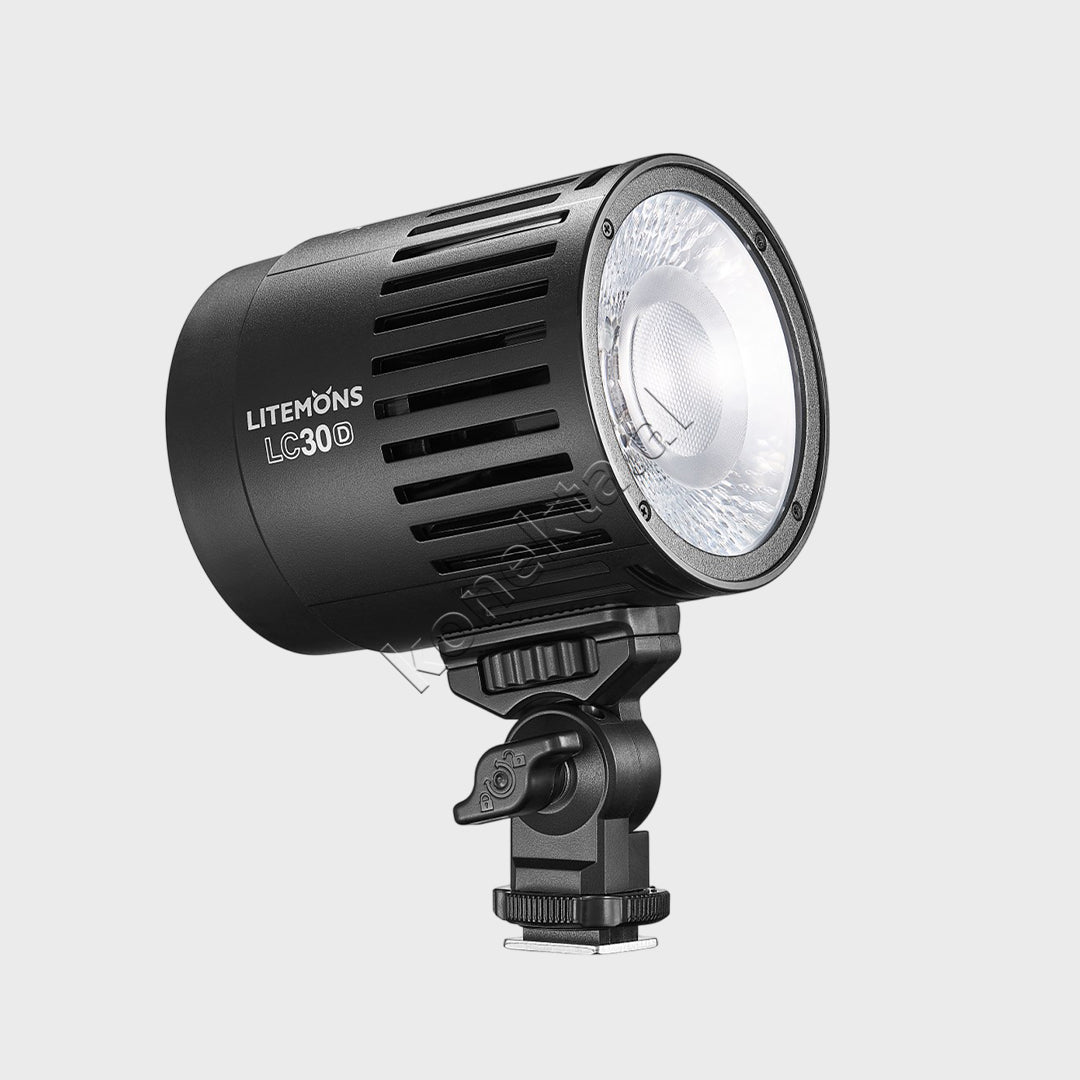 Set Drite LED Profesionale 33W Godox LC30D-K1