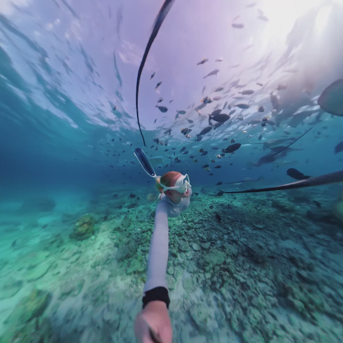 Load video: Kamera Sportive DJI Osmo 360 II Adventure Combo